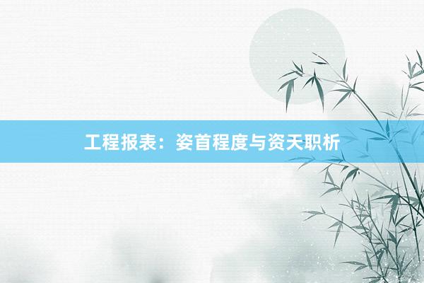 工程报表：姿首程度与资天职析